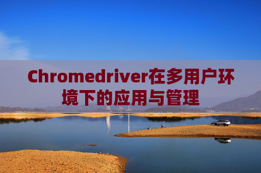 Chromedriver在多用户环境下的应用与管理