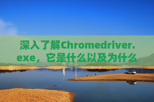 深入了解Chromedriver.exe，它是什么以及为什么我们需要它？