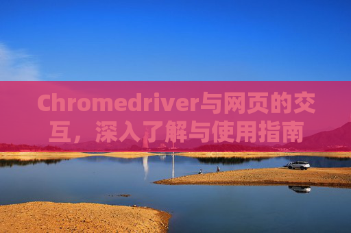 Chromedriver与网页的交互，深入了解与使用指南