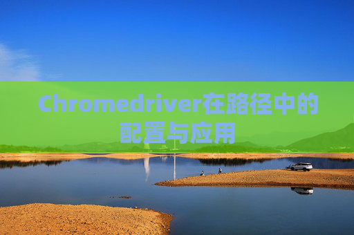 Chromedriver在路径中的配置与应用