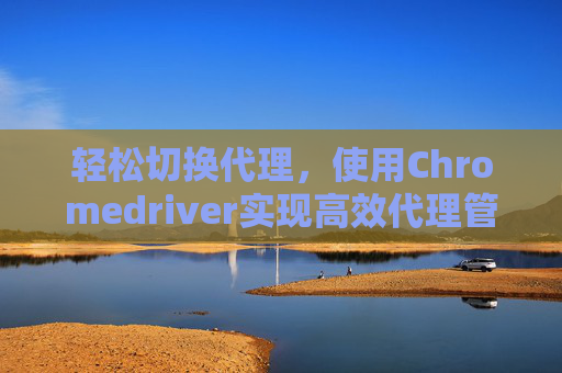 轻松切换代理，使用Chromedriver实现高效代理管理