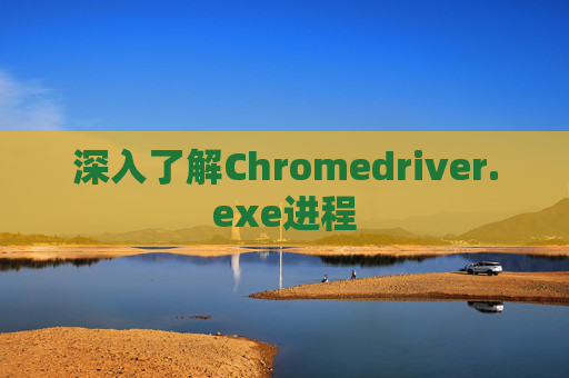 深入了解Chromedriver.exe进程