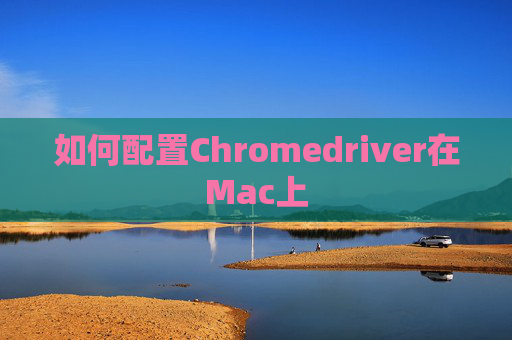 如何配置Chromedriver在Mac上