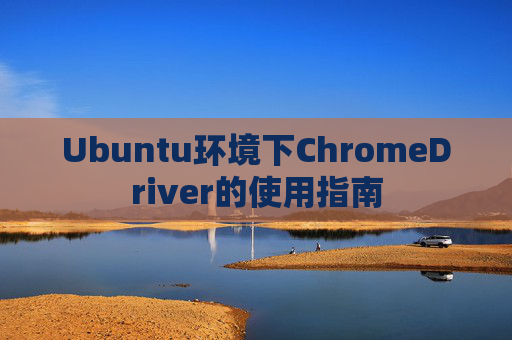 Ubuntu环境下ChromeDriver的使用指南